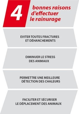 4 bonnes raisons d'effectuer le rainurage