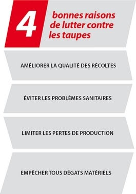 4 bonnes raisons de lutter contre les taupes