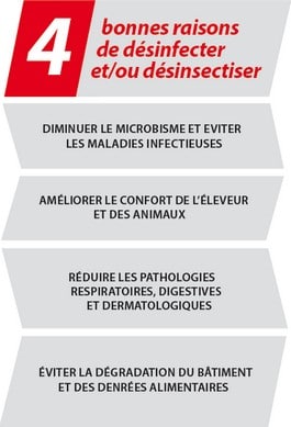 4 bonnes raisons de désinfecter et/ou de désinsectiser